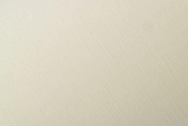 FlaxPaper Natural «Лен» Натурально-белый 300гр/м2