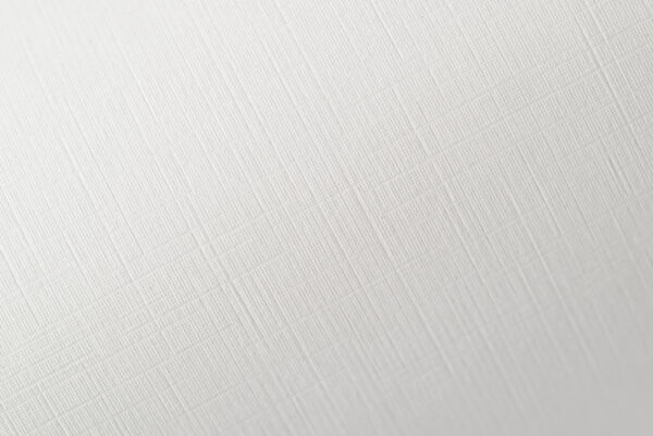 FlaxPaper White «Лен» Белый 300гр/м2